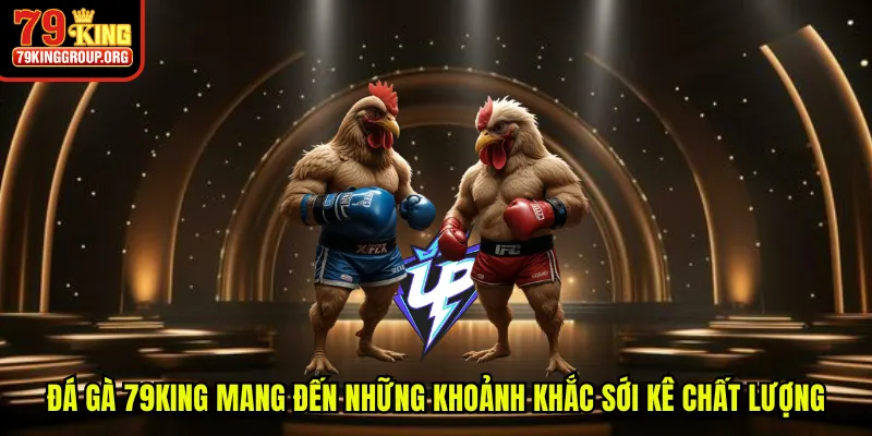 Đá gà 79King mang đến những khoảnh khắc sới kê chất lượng